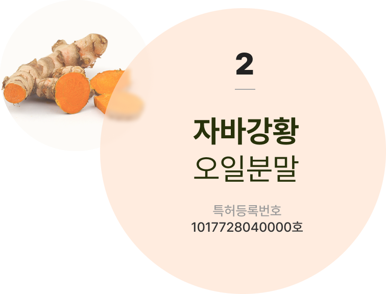 자바강황 오일분말 토토사이트등록번호 1017728040000호