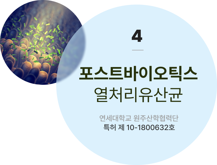 포스트바이오틱스 열처리유산균 연세대학교 원주산학협력단 토토사이트 제 10-1800632호