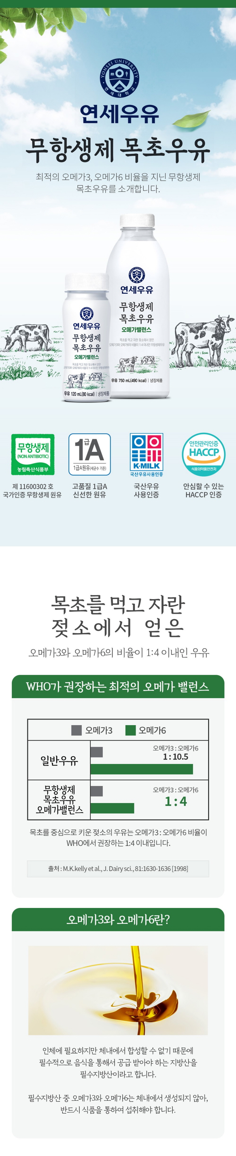 무료 토토사이트