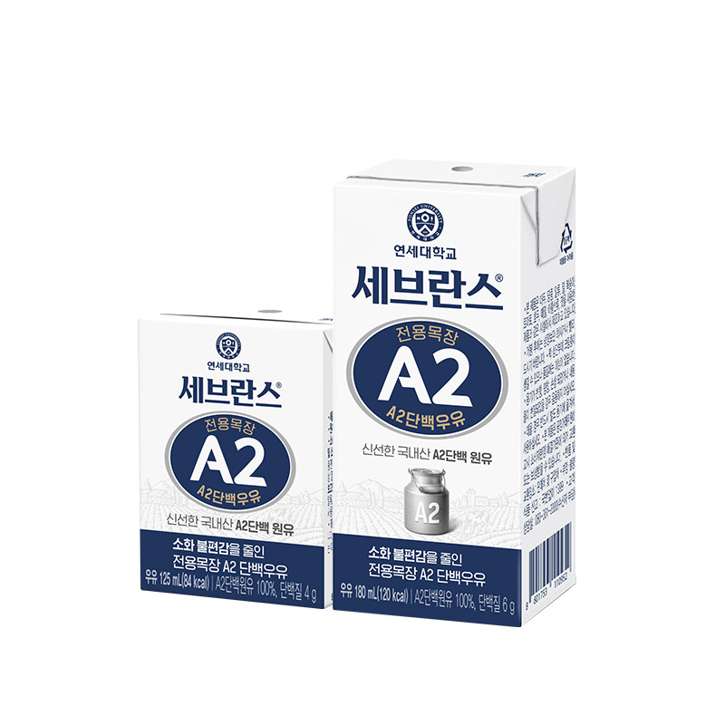 토토 사이트