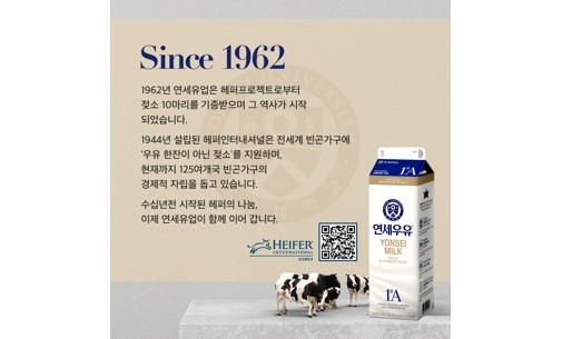 와이즈 토토 결과