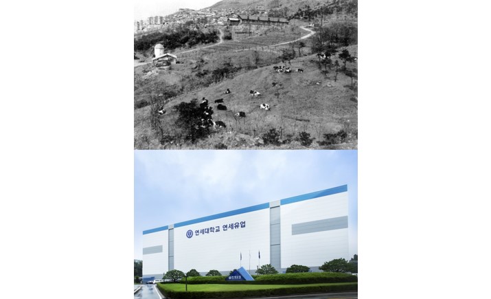 한국 토토 사이트