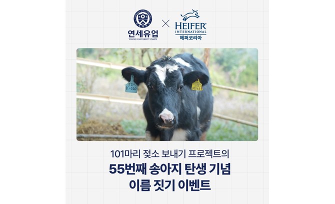 스포츠 토토 사이트